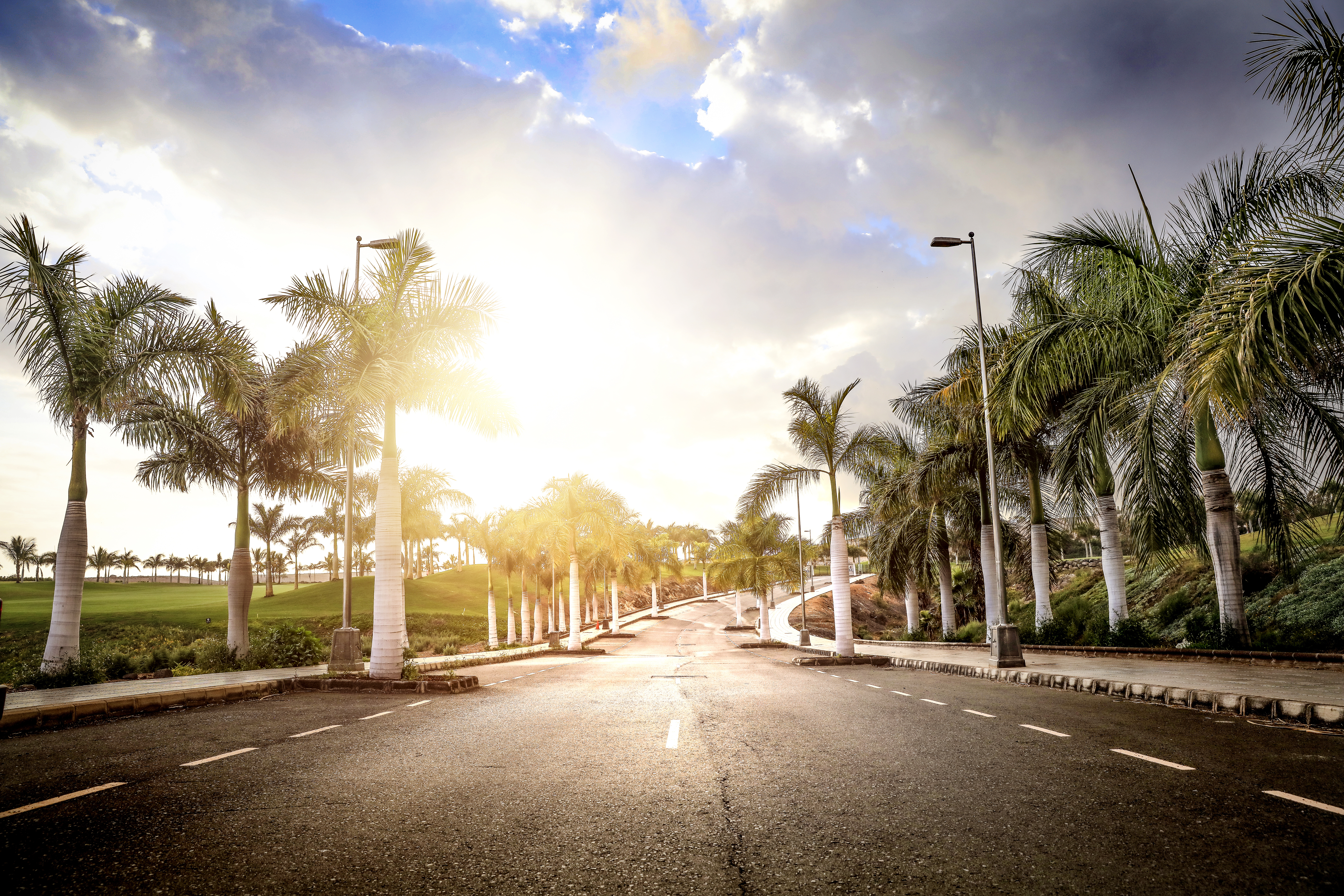 Road Trips With Pure: Southeast Florida